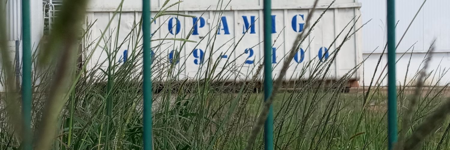 lisandro meza gaming banner