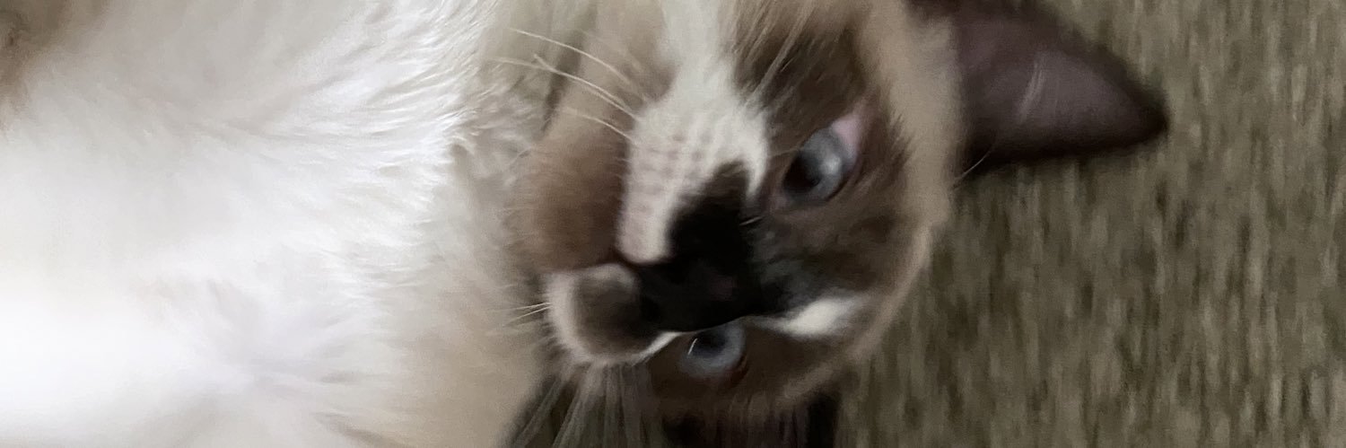 sarahghead's profile banner image