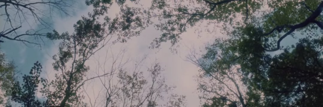 vantesland's profile banner image