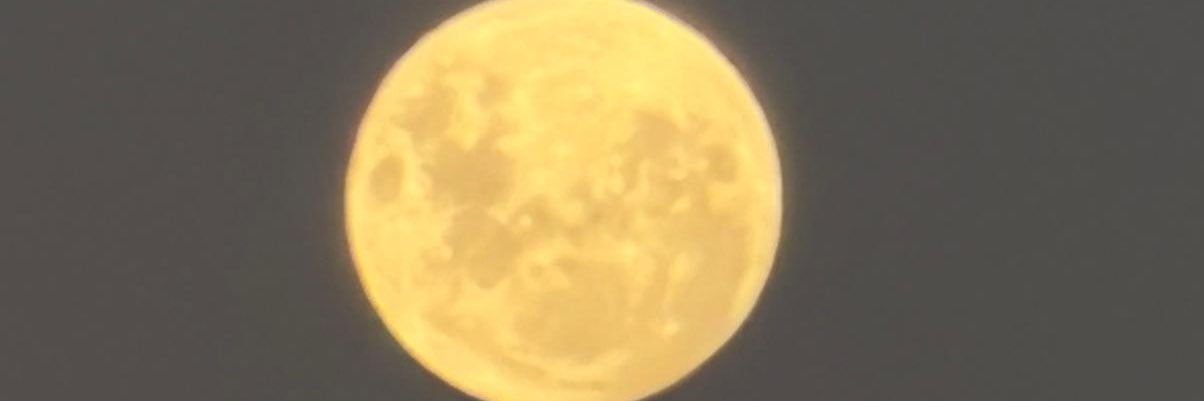 soutovri's profile banner image