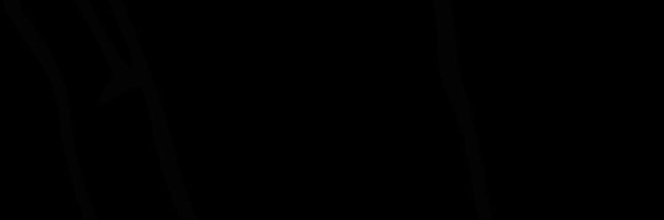 Maverick_Jr_'s profile banner image