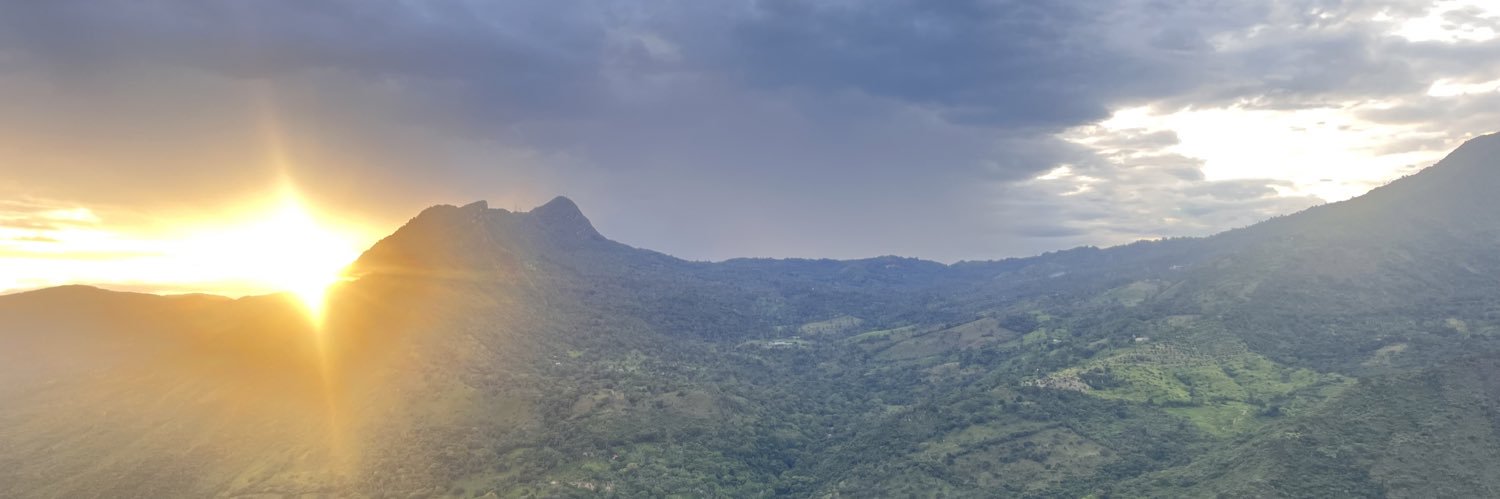 dementevelez's profile banner image