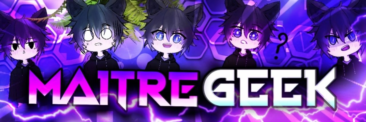 Maître GEEK🙃 banner