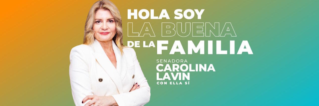 Carolina Lavin banner