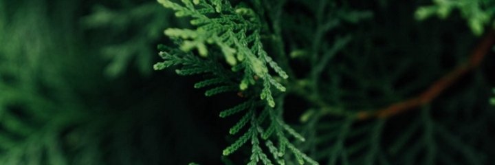 Sebas21854901's profile banner image