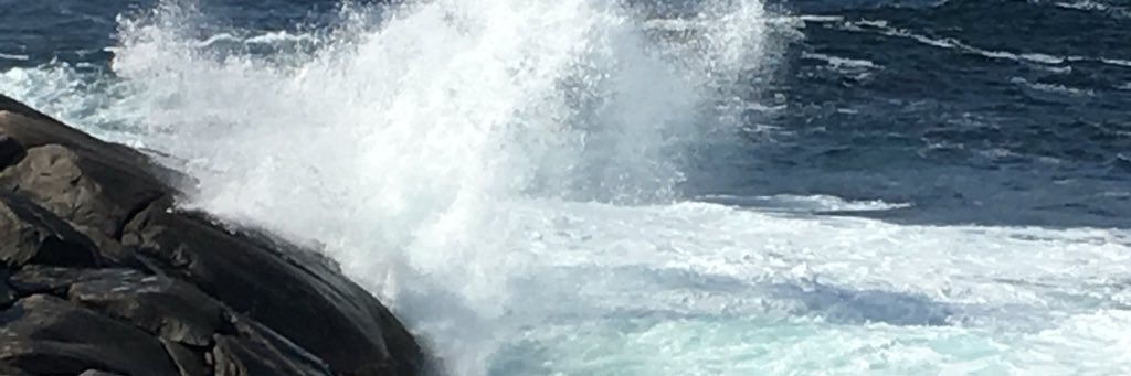 reachkathere's profile banner image