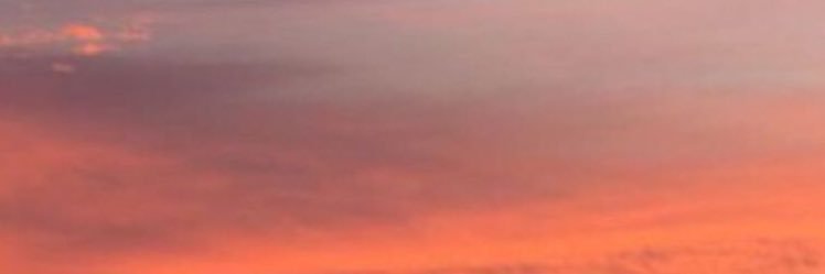 Carleta🦋 banner