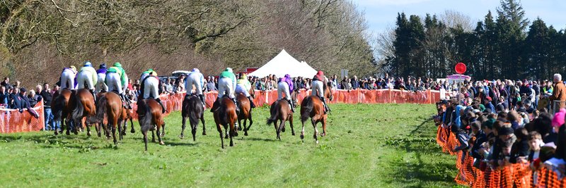 Ballynoe Point to Point banner