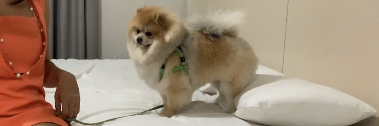 giovannaws22's profile banner image