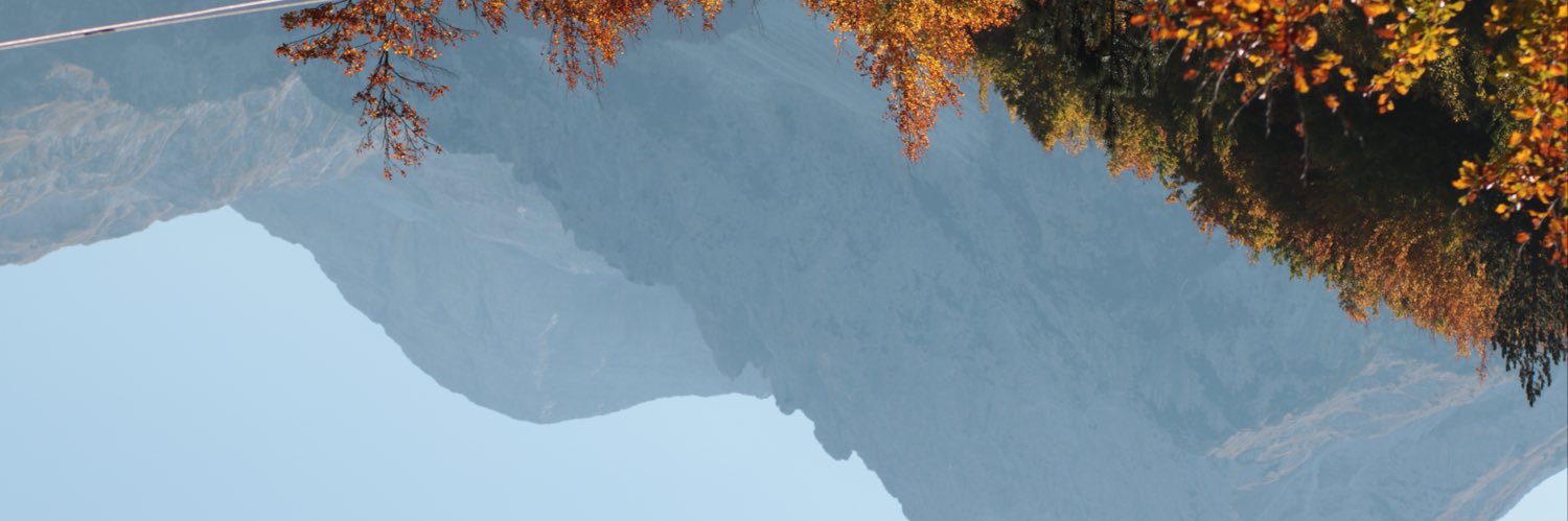 zoe_dorey's profile banner image