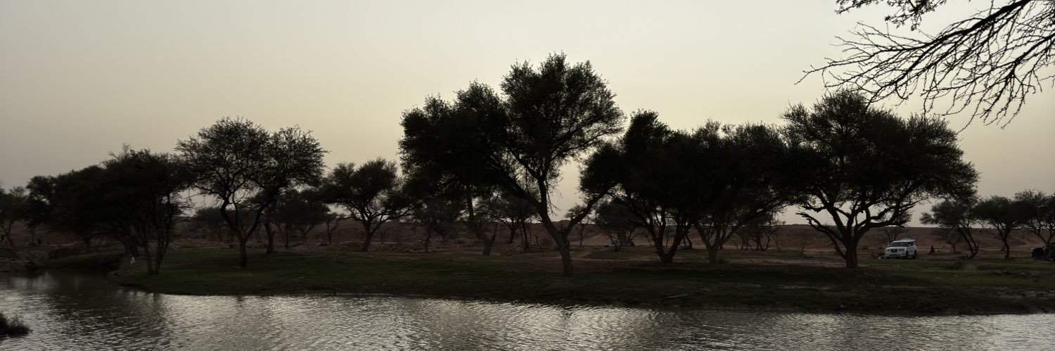 llibbrr's profile banner image