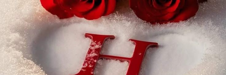 Hanen45934497's profile banner image