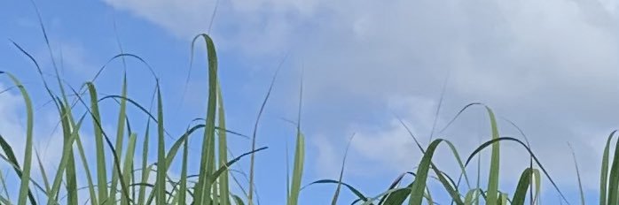 alexralfha's profile banner image
