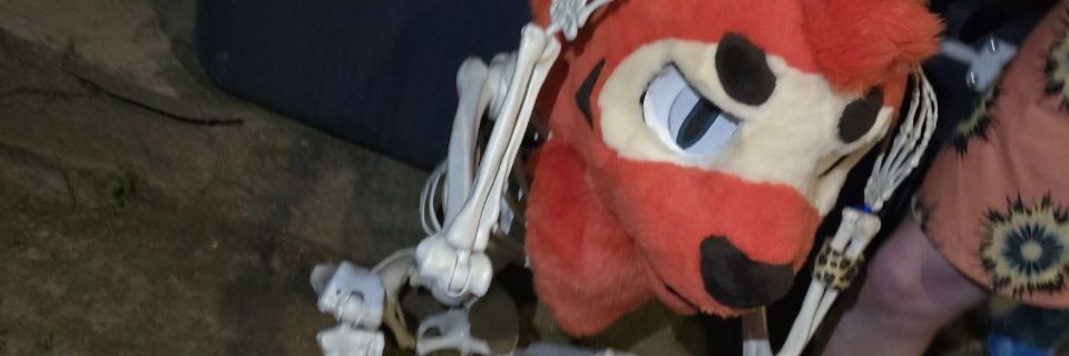DxSlinky's profile banner image