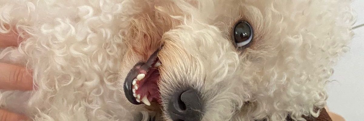 thamirisannyele's profile banner image