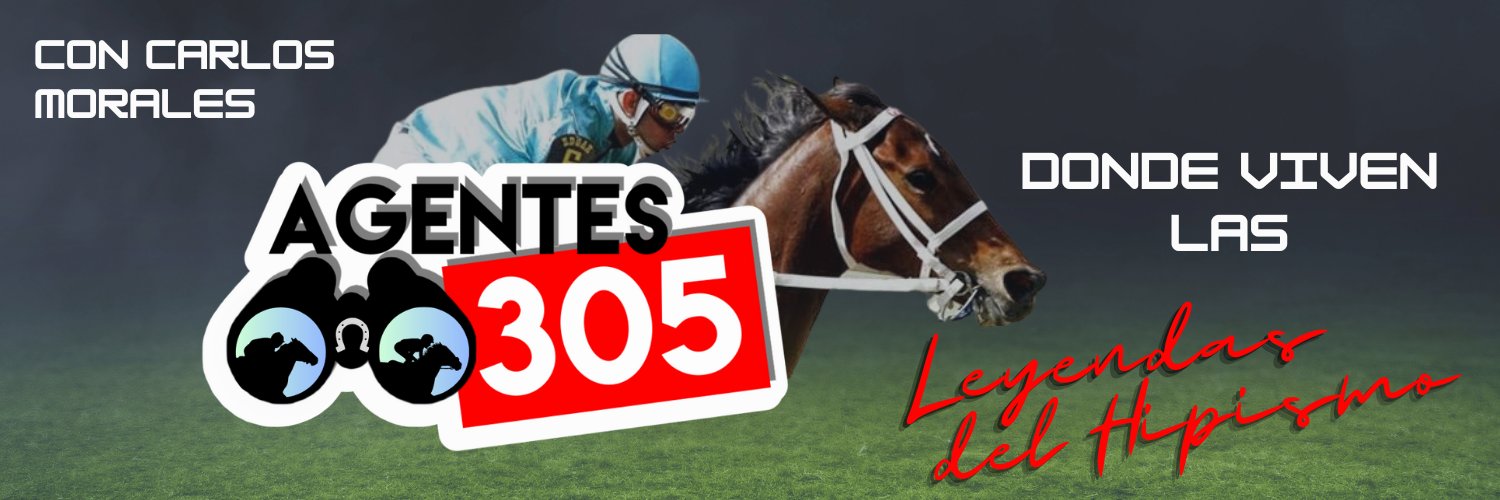 Agentes305 banner