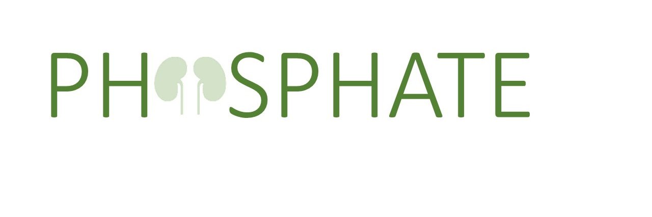 PhosphateRct's profile banner image