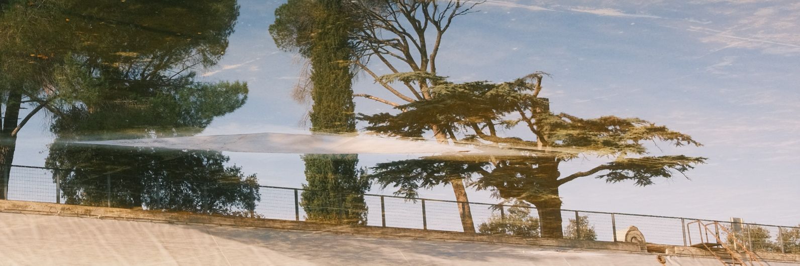 HarryRodgers_'s profile banner image