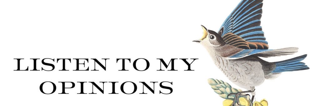 BicBuck's profile banner image
