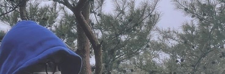 Mr_ banner