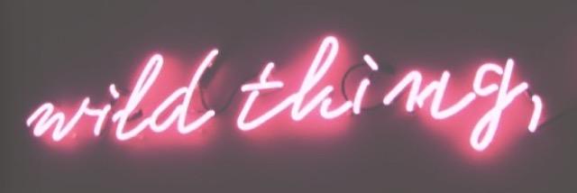 _jocelynxo's profile banner image