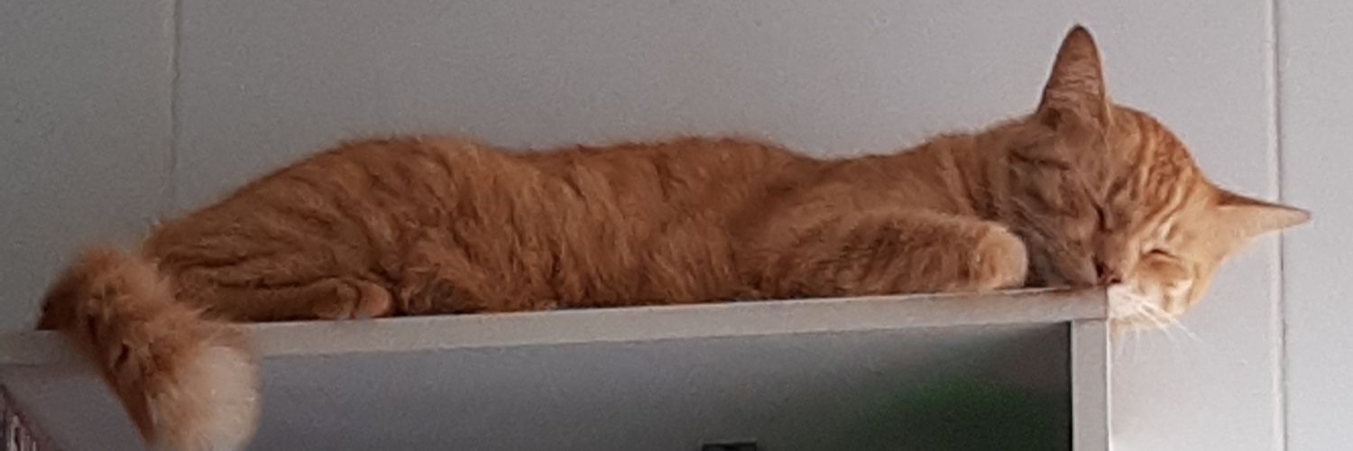 ArthurCLFilho's profile banner image