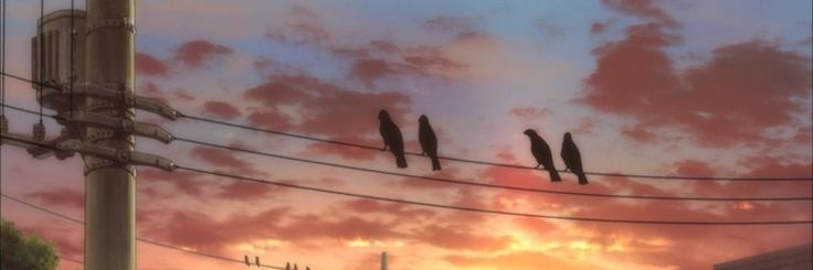 biyazone's profile banner image
