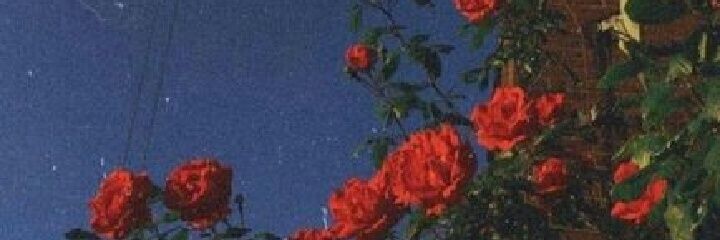 Lara_fernandez2's profile banner image