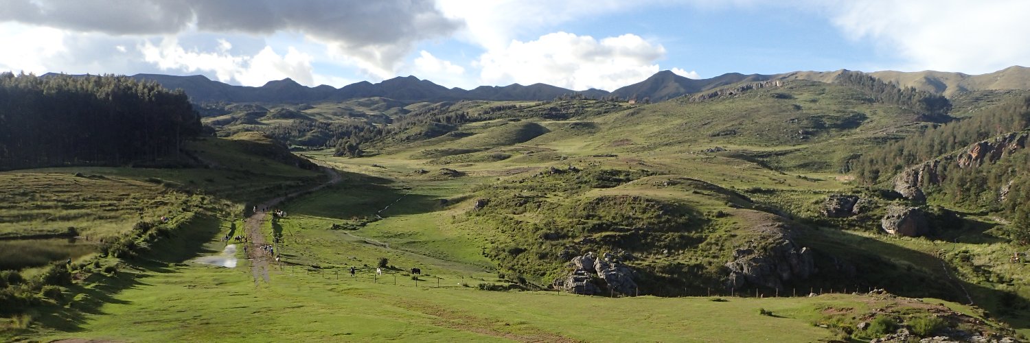 Rebecca Fischer banner