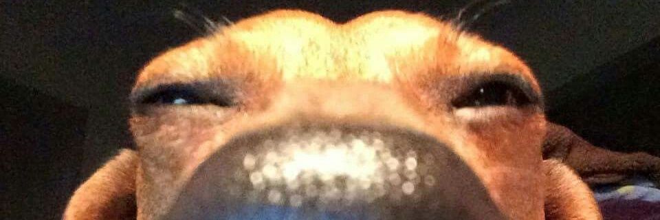 LuanNorberto's profile banner image