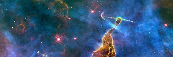 newlyraised Profile Banner