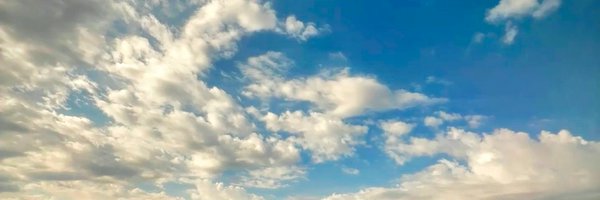 todd_burleson Profile Banner