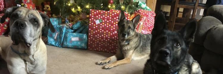 Brandon Shuman banner