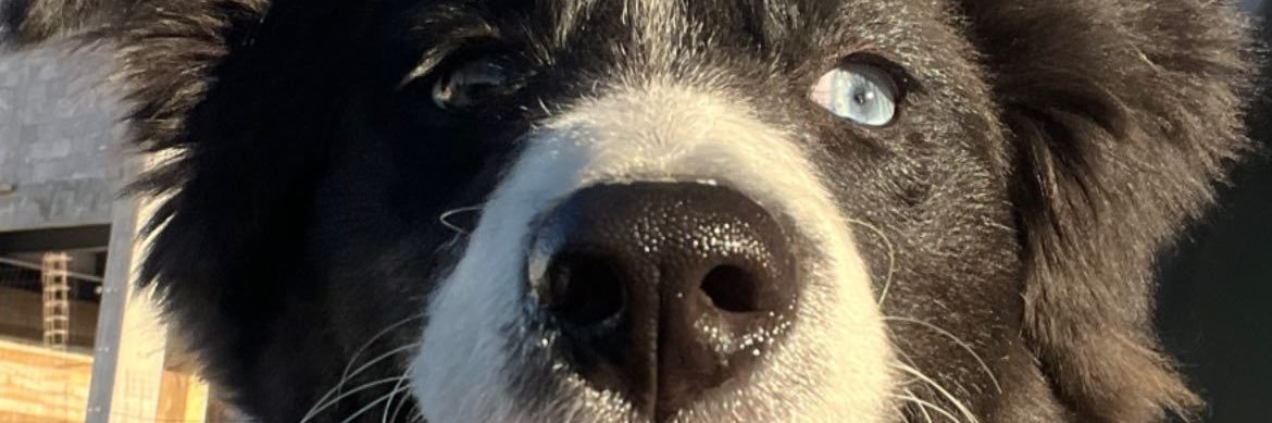 lauragarse2's profile banner image