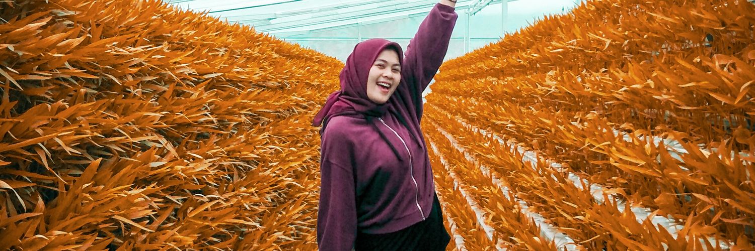 sintaaa1909's profile banner image