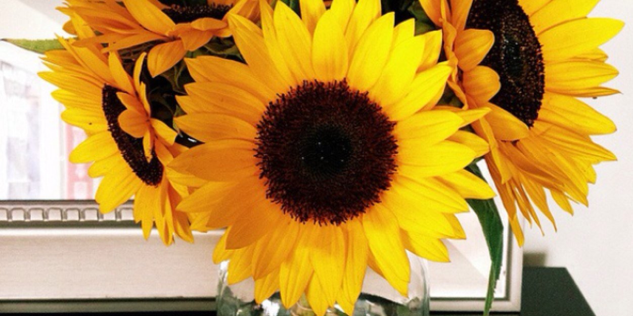 iAM_SPECIAL_K's profile banner image