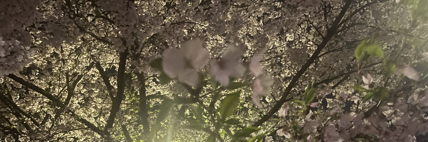 5AsjZx's profile banner image