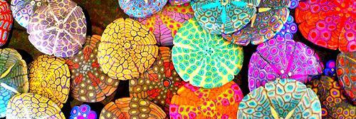 AleedelPilar's profile banner image