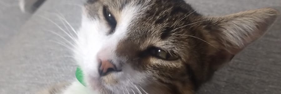 MatiRoman__'s profile banner image