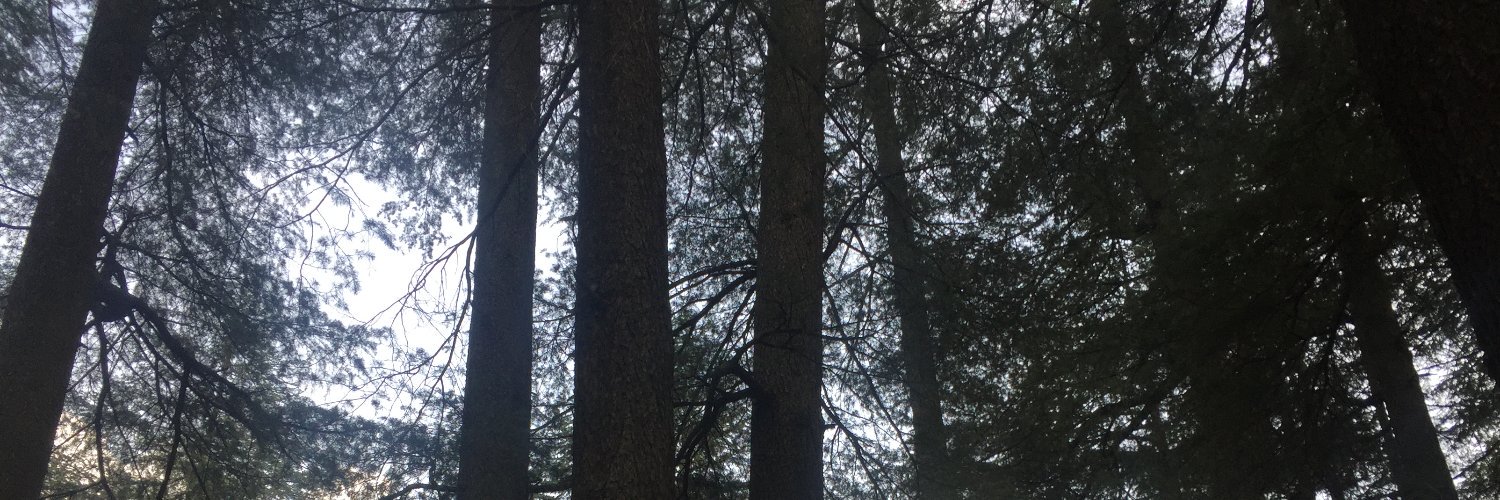imrabhi's profile banner image