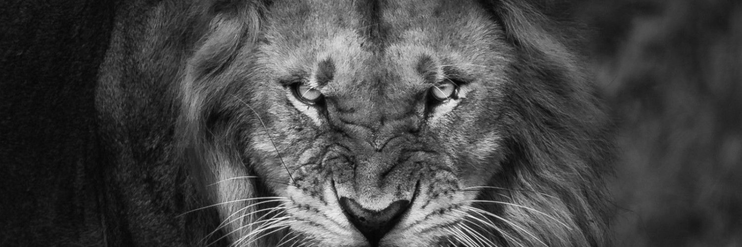 EBalatido's profile banner image