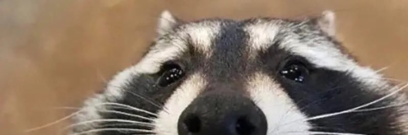 itsjuststim's profile banner image