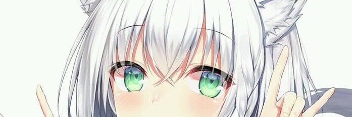 mittkunv's profile banner image