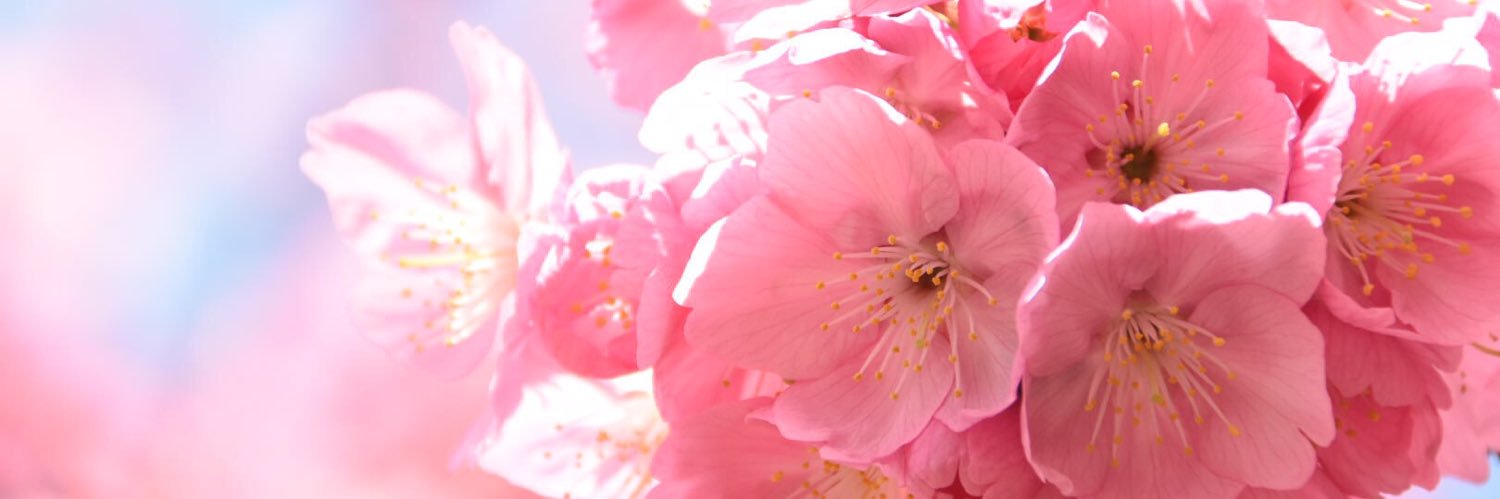 ずんだ banner