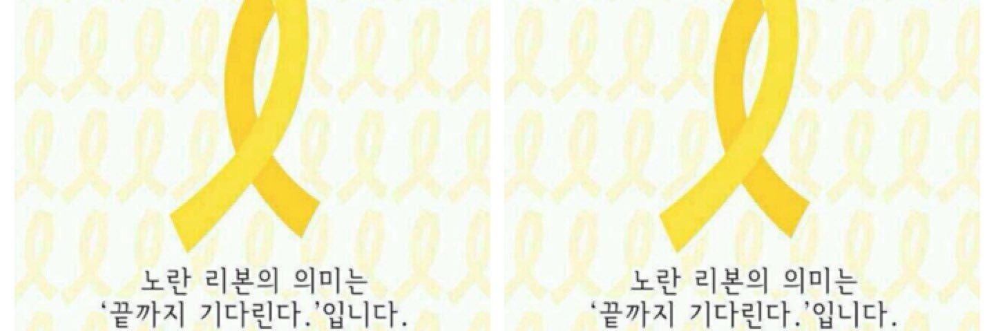 승거미 banner
