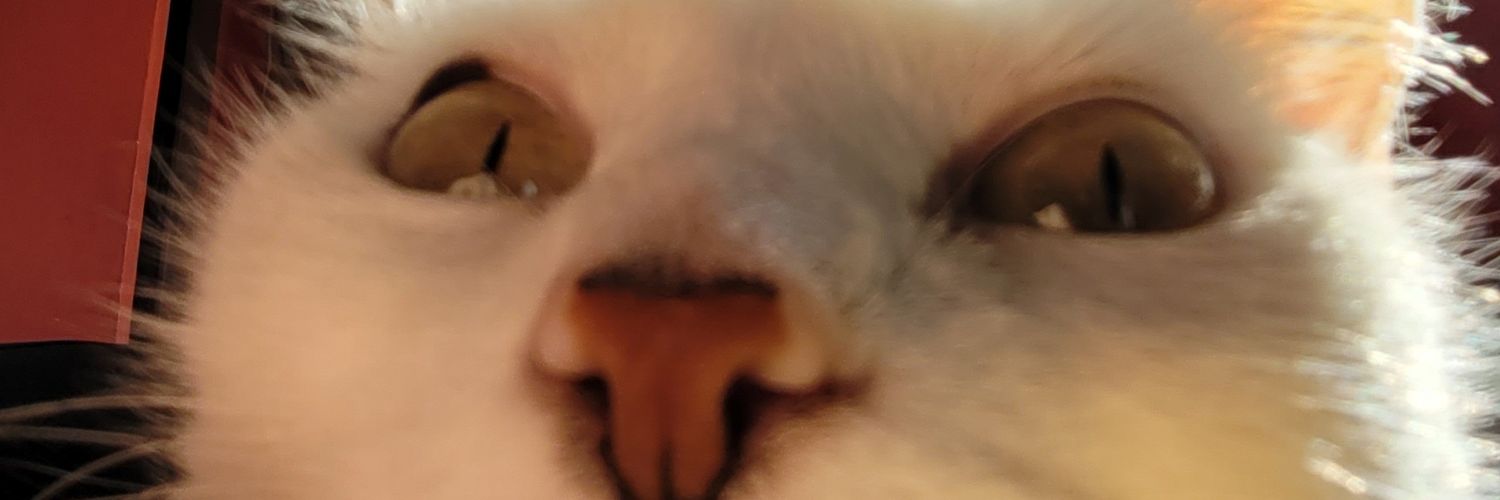 _medinabel's profile banner image