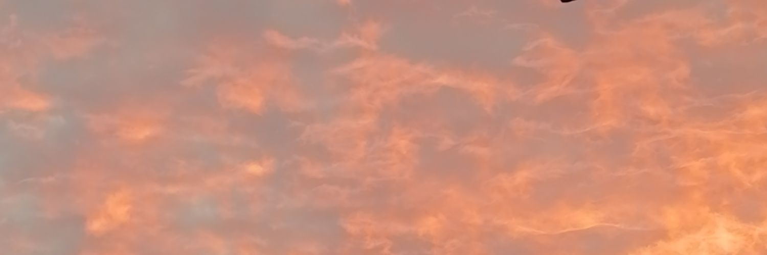 sofiaaa_______'s profile banner image
