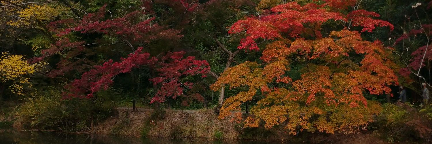 Rspective_KU's profile banner image