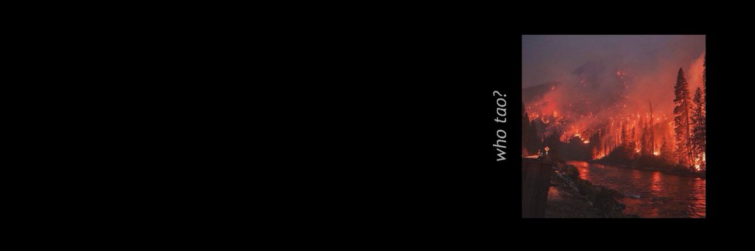 mireimira's profile banner image