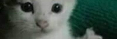 this_is_dnl's profile banner image